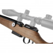 FX DRS Classic Noyer Grade 2- FX Airguns