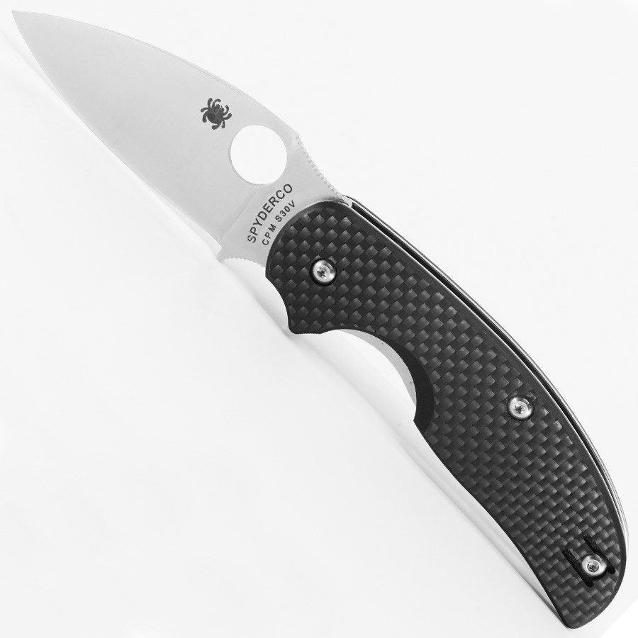 Sage 1 - C123CFP - Spyderco