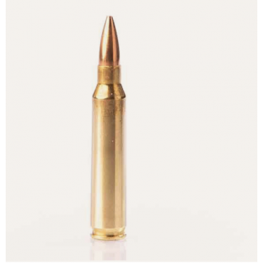 Ammo .223 REMINGTON 55-GRS FMJ by 50- Fiocchi