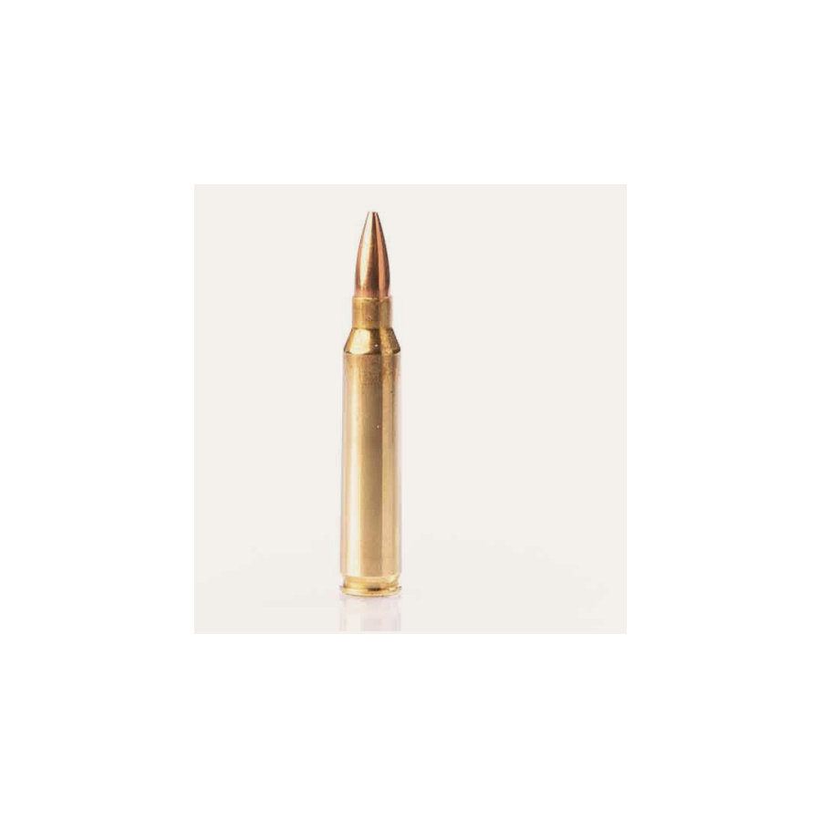 Ammo .223 REMINGTON 55-GRS FMJ by 50- Fiocchi