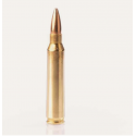 Ammo .223 REMINGTON 55-GRS FMJ by 50- Fiocchi