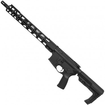 Carabine Ready Series Zulu2 Canon 16' 223 rem - ZRO DELTA