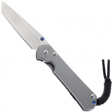 Small Sebenza 31 Plain Glass Blasted Tanto - Chris Reeve